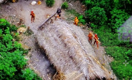 Il Genocidio dei Popoli Indigeni